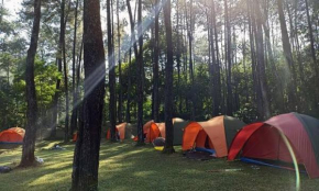 Wong Deso Camping